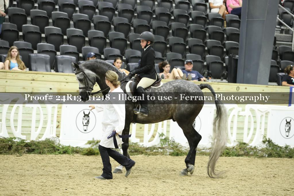 Proof 24R13_11218