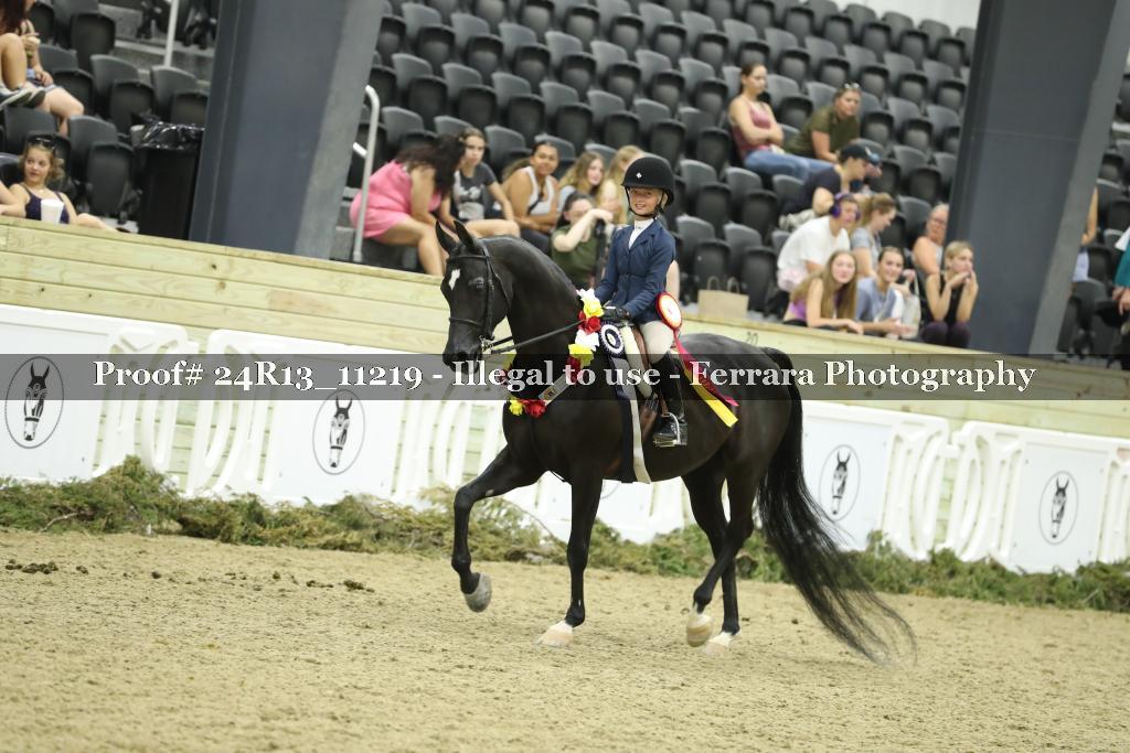 Proof 24R13_11219