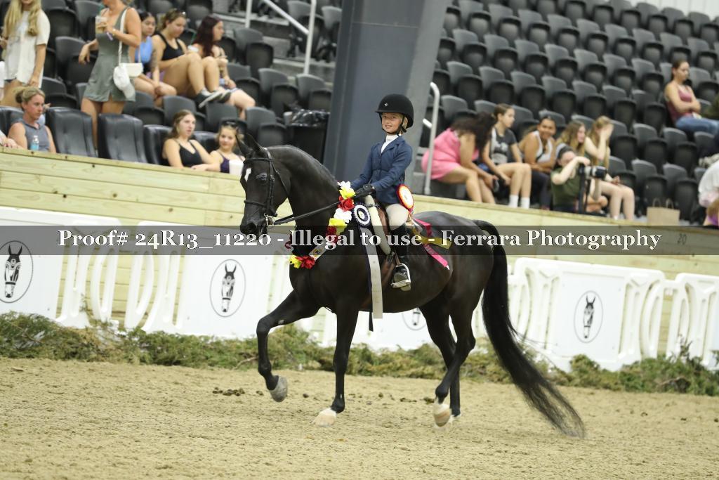 Proof 24R13_11220