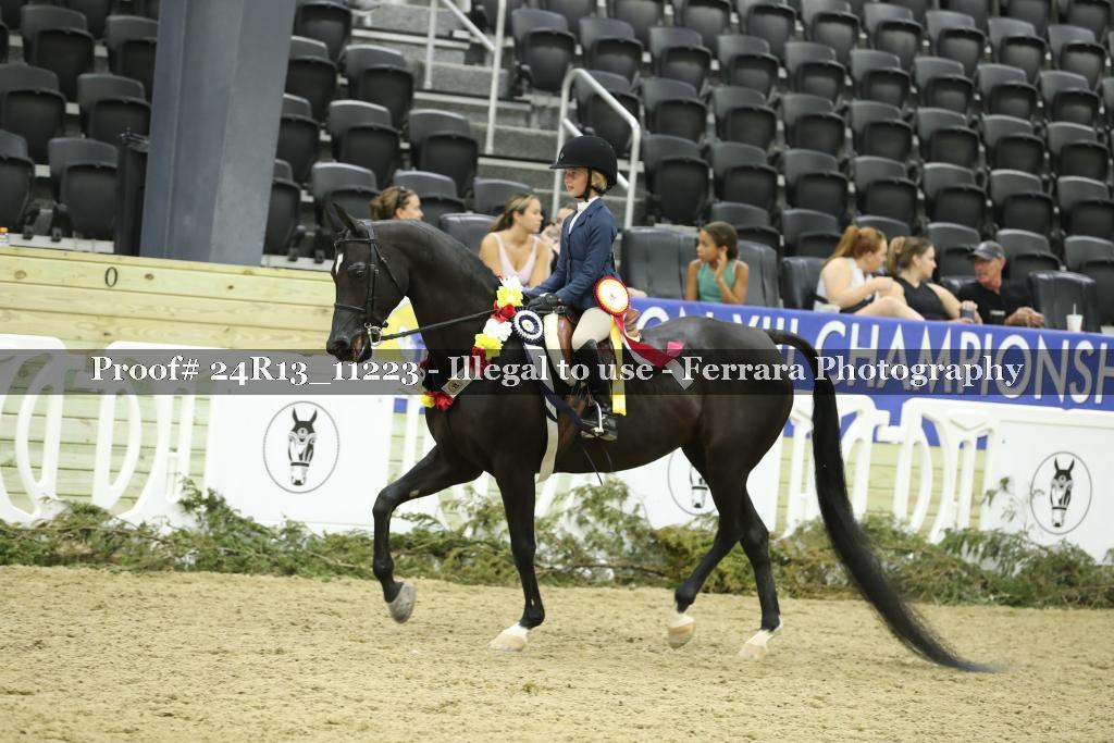 Proof 24R13_11223