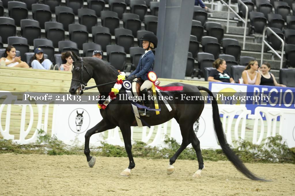 Proof 24R13_11224