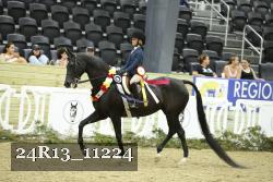 24R13_11224 proof