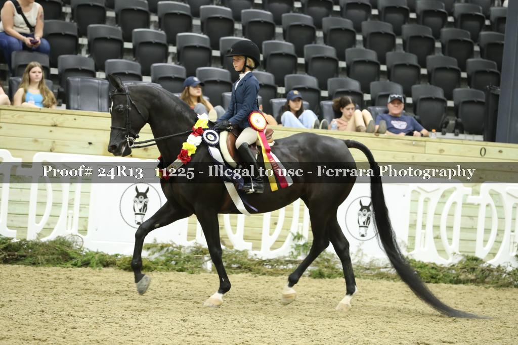 Proof 24R13_11225