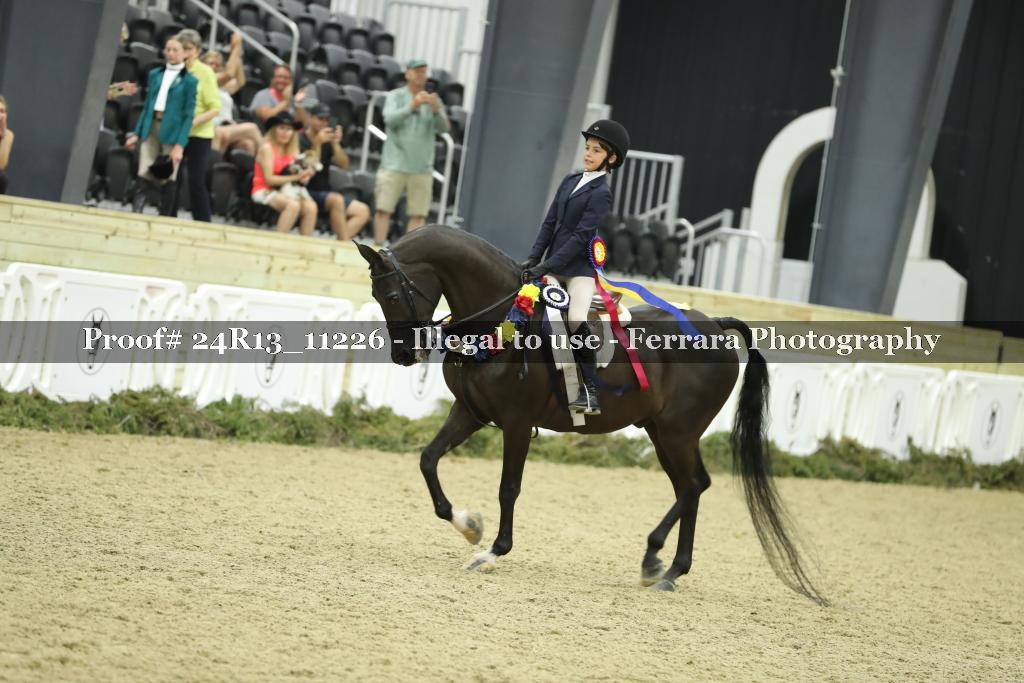 Proof 24R13_11226