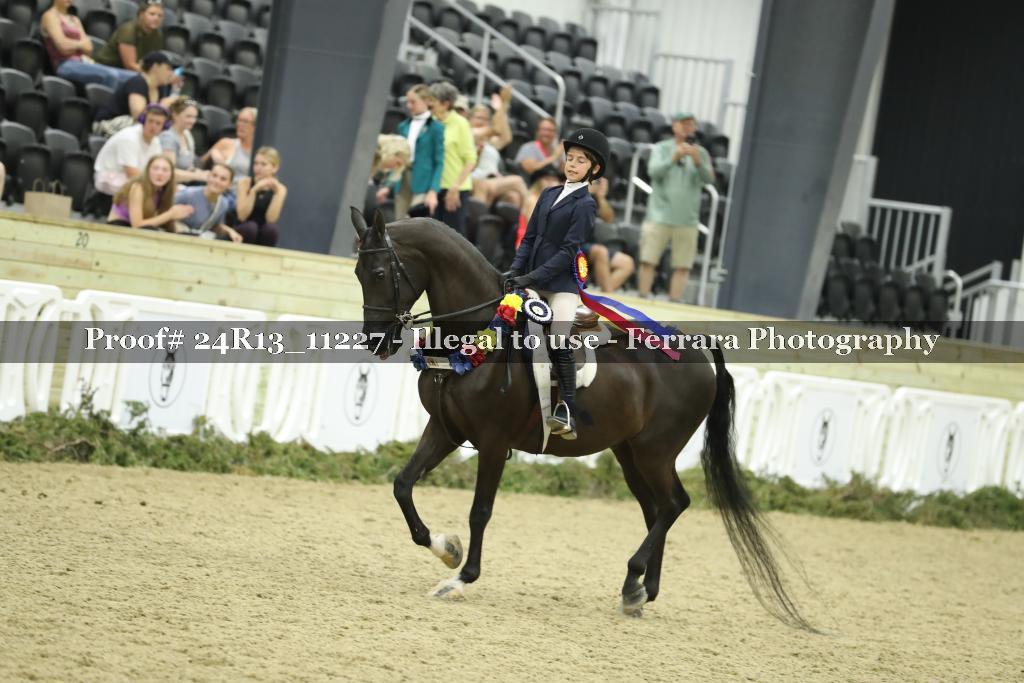Proof 24R13_11227