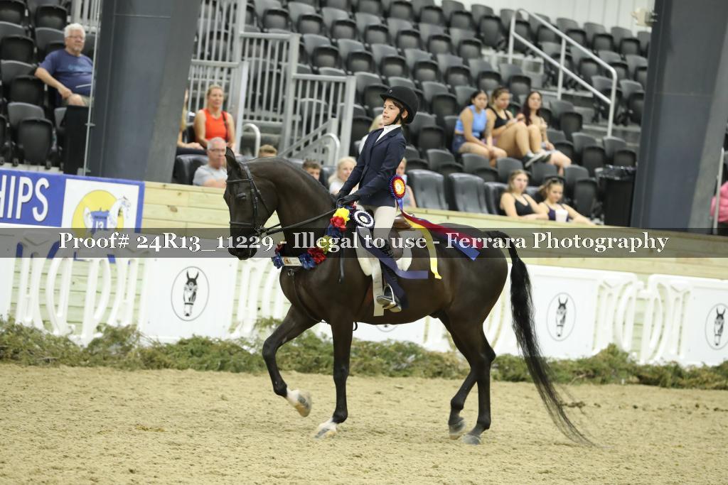 Proof 24R13_11229