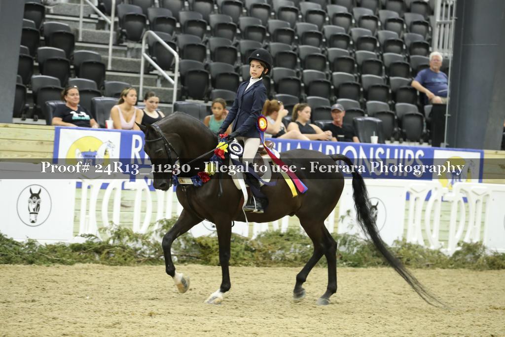 Proof 24R13_11230