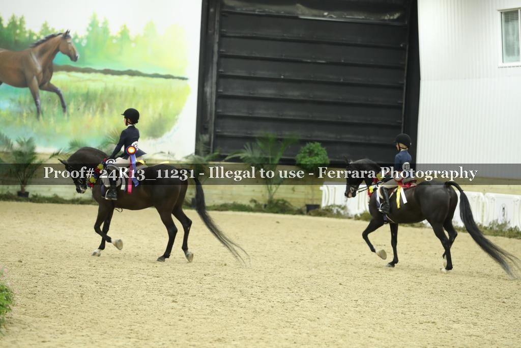 Proof 24R13_11231