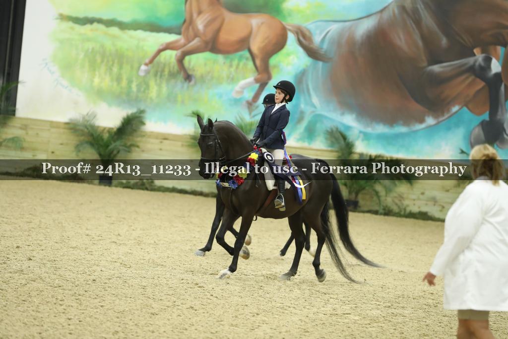 Proof 24R13_11233