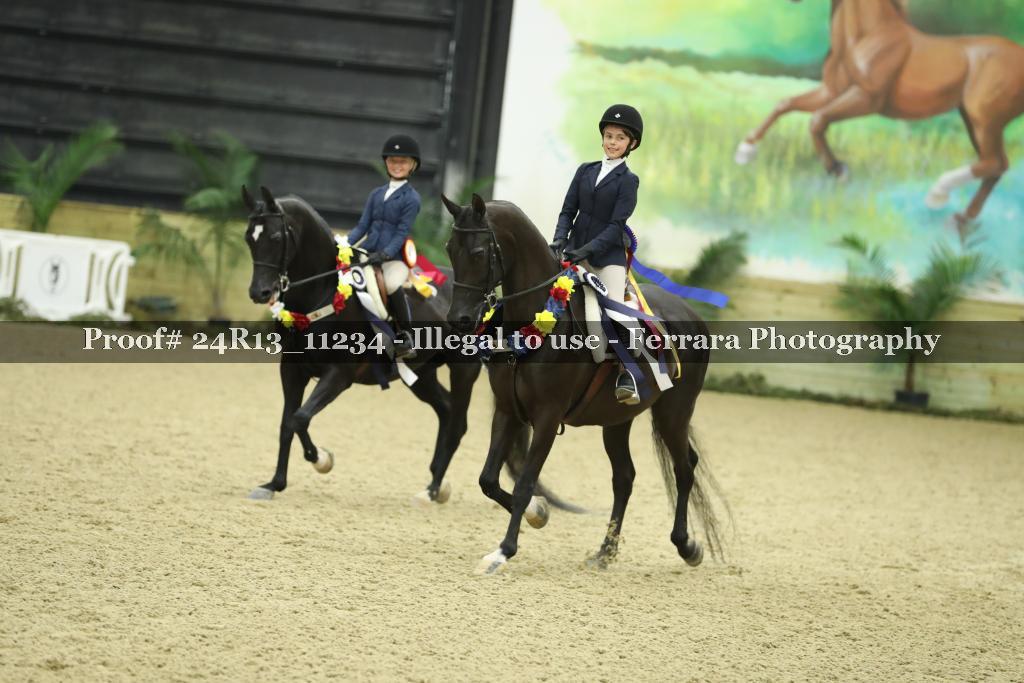 Proof 24R13_11234