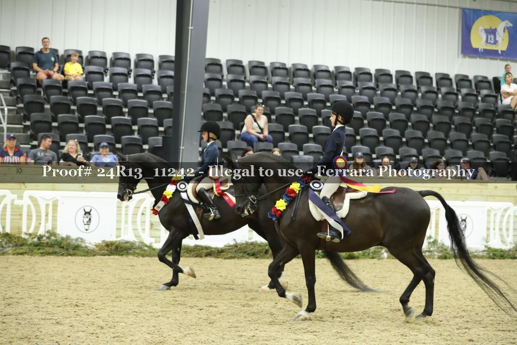 Proof 24R13_11242