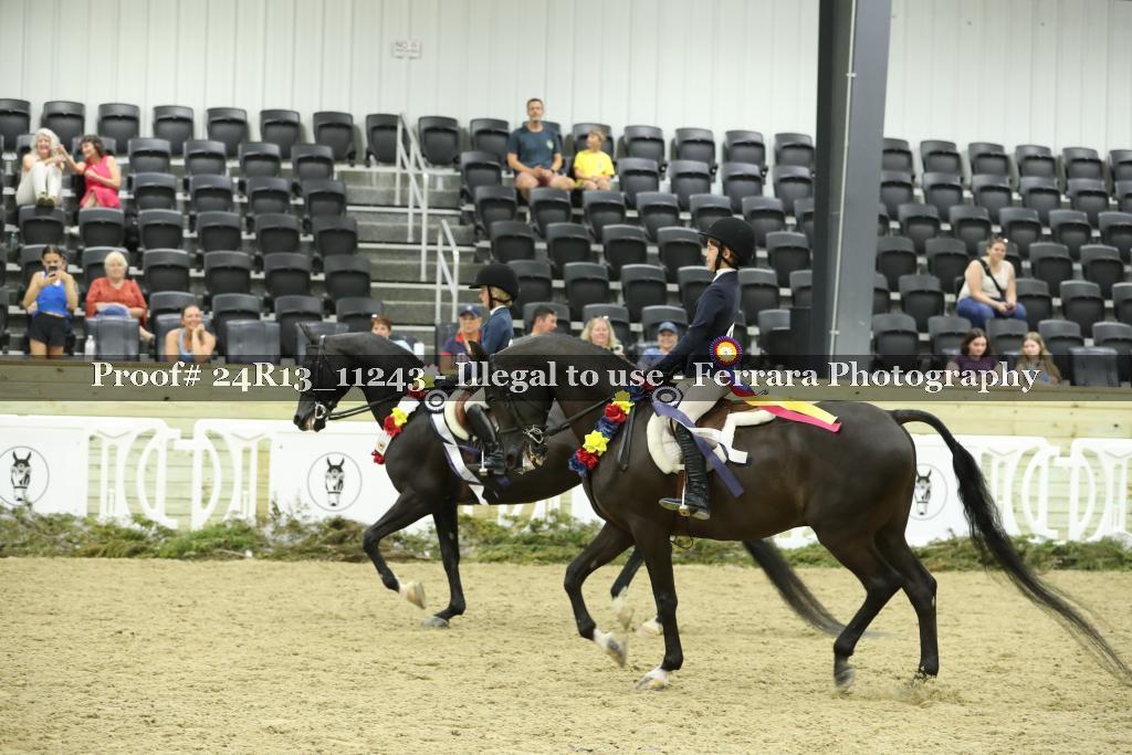 Proof 24R13_11243