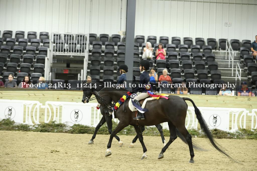 Proof 24R13_11244