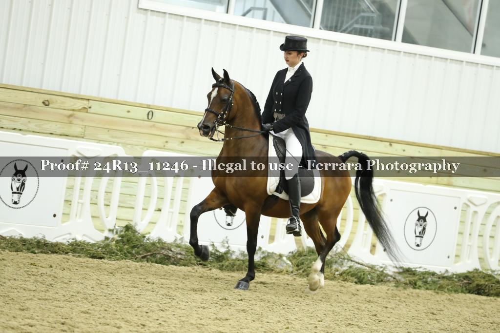 Proof 24R13_11246