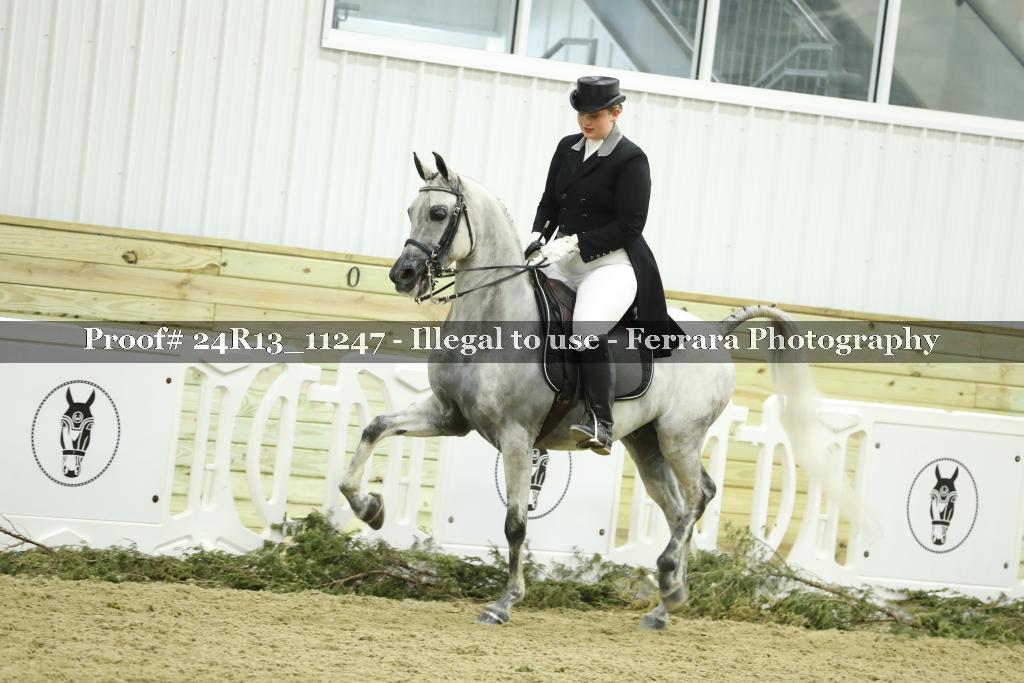 Proof 24R13_11247
