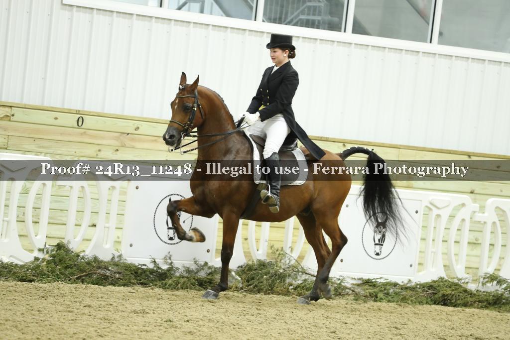 Proof 24R13_11248