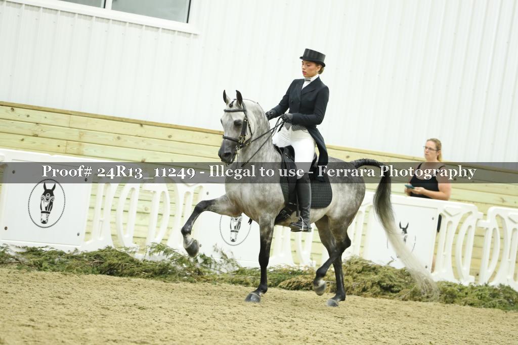 Proof 24R13_11249