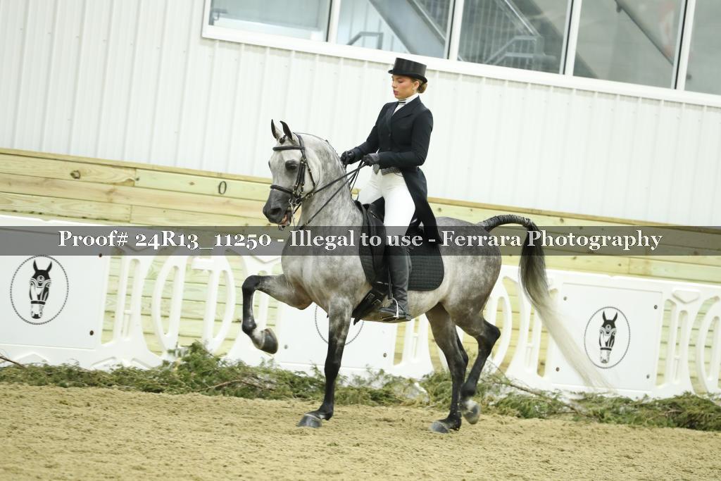 Proof 24R13_11250