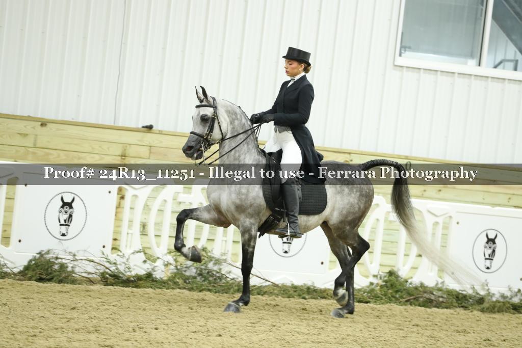 Proof 24R13_11251