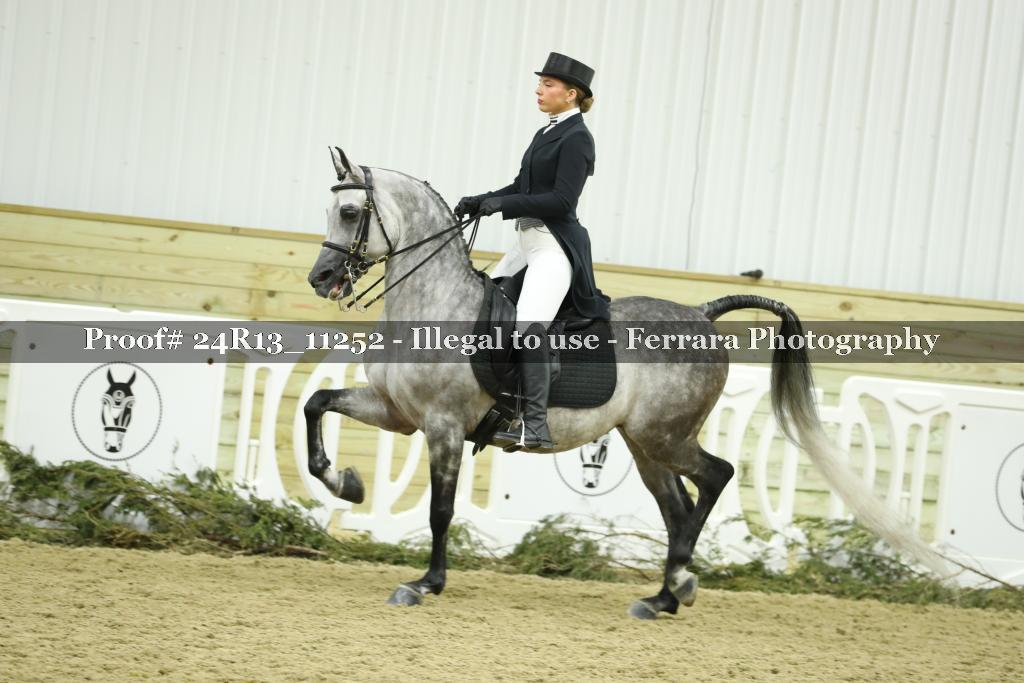 Proof 24R13_11252