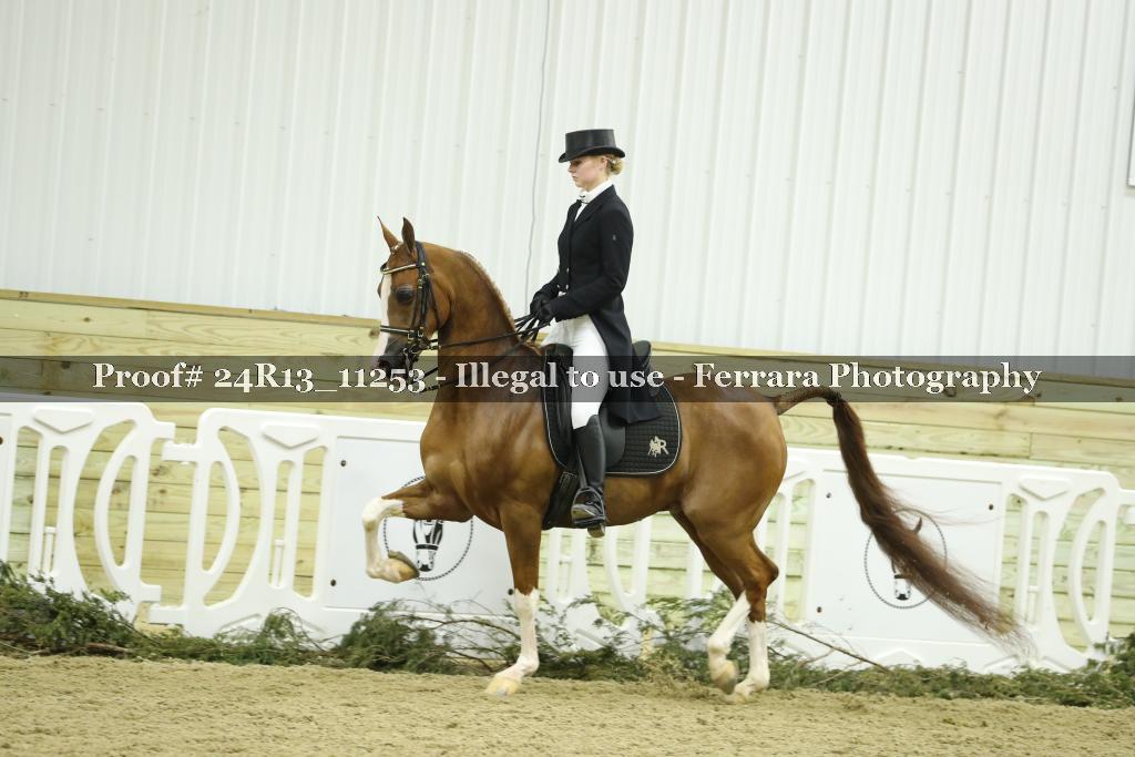 Proof 24R13_11253