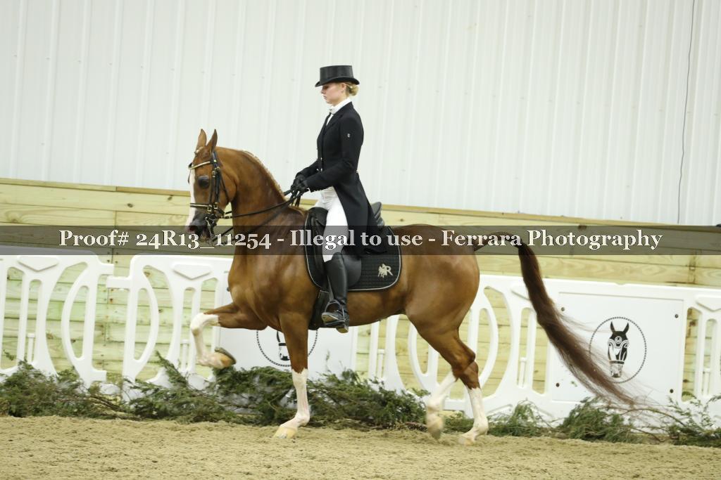 Proof 24R13_11254
