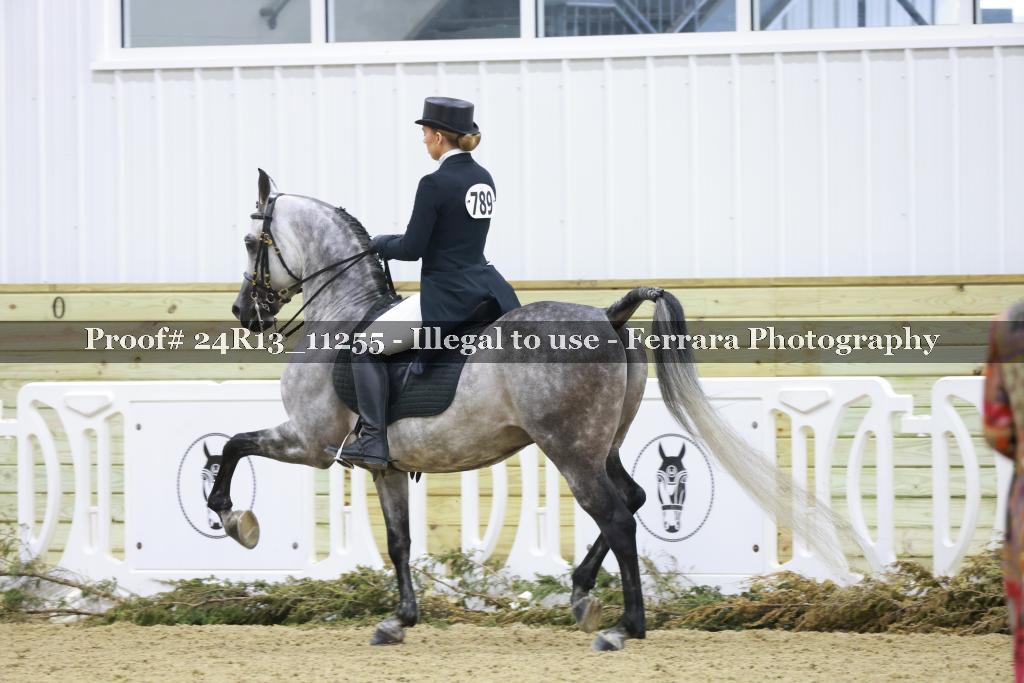 Proof 24R13_11255
