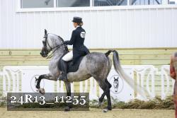 24R13_11255 proof