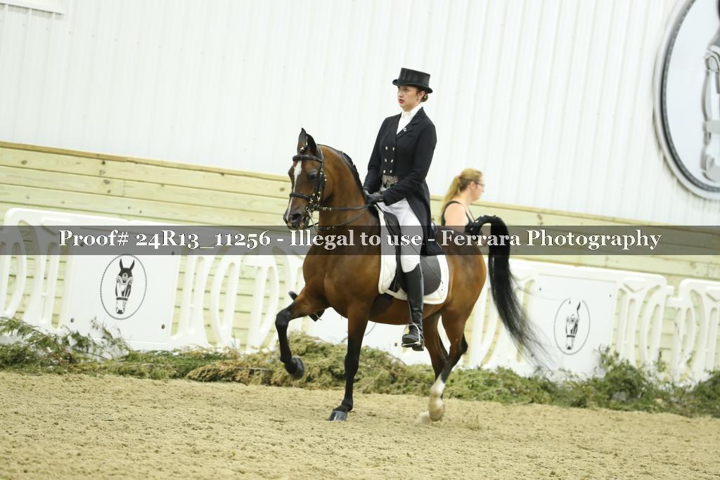 Proof 24R13_11256