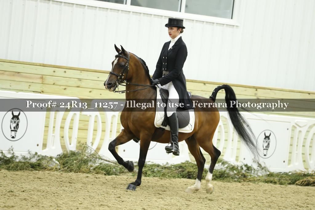 Proof 24R13_11257