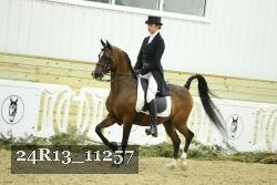 24R13_11257 proof
