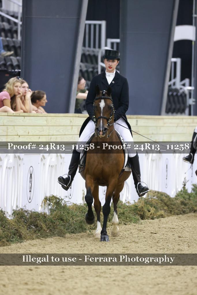 Proof 24R13_11258