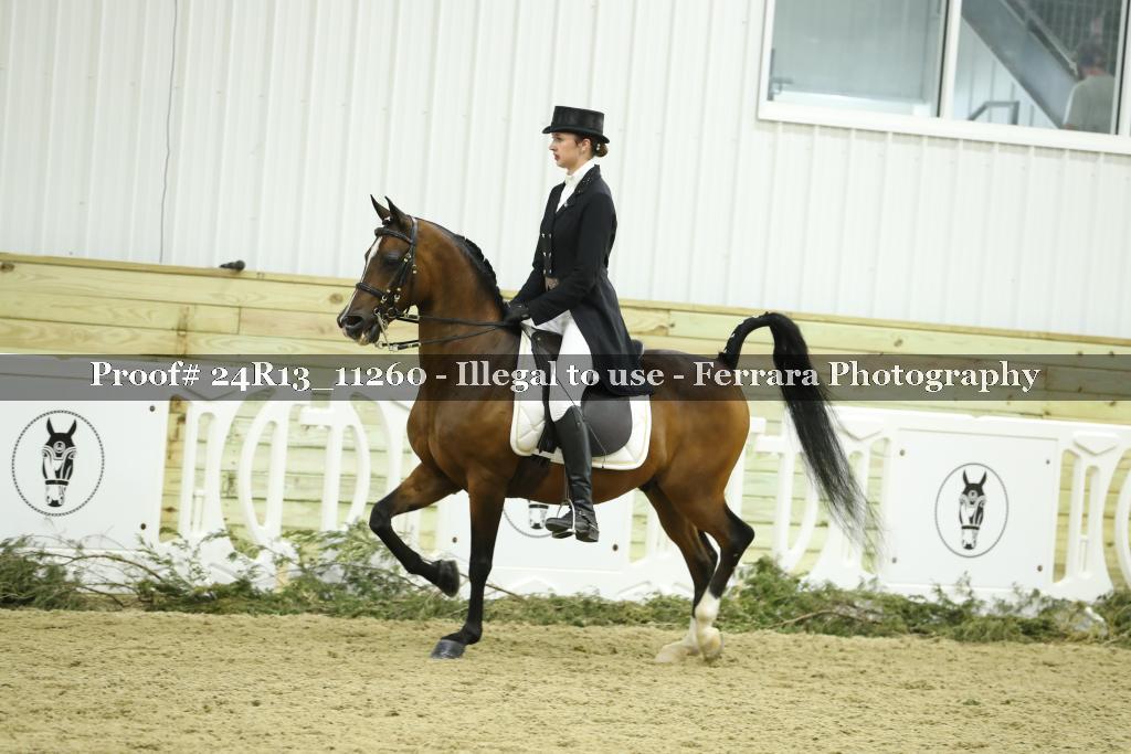 Proof 24R13_11260