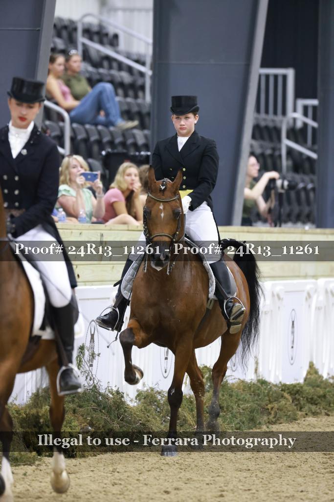 Proof 24R13_11261
