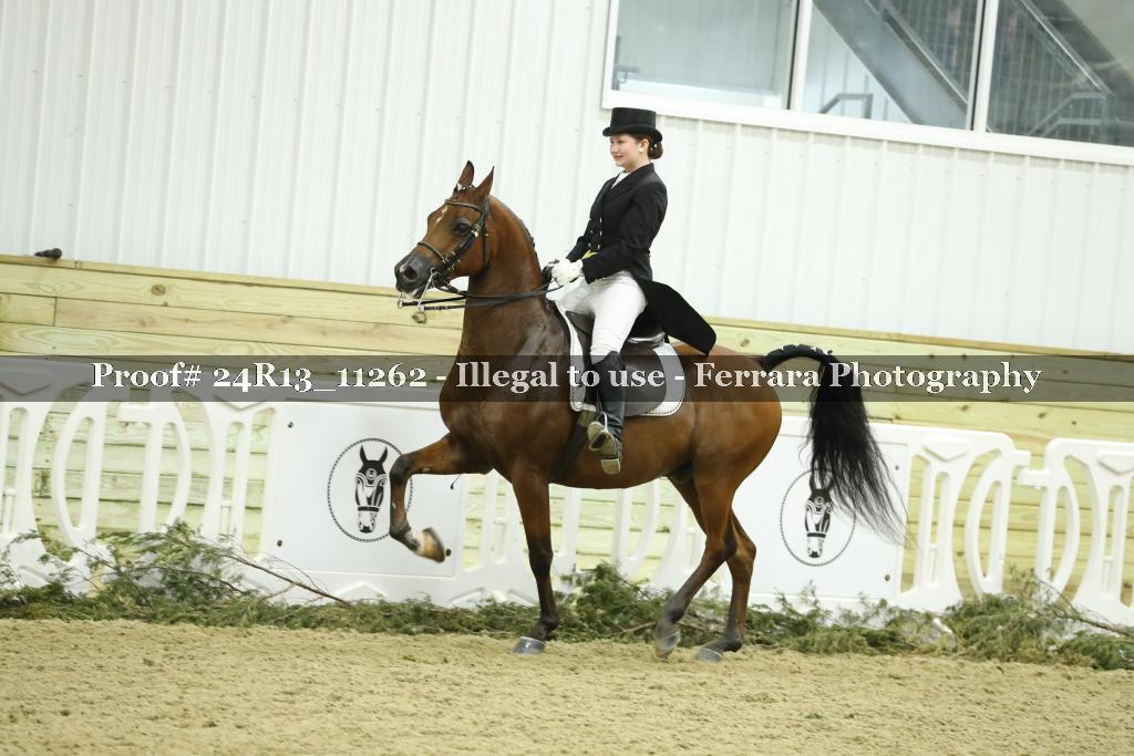 Proof 24R13_11262
