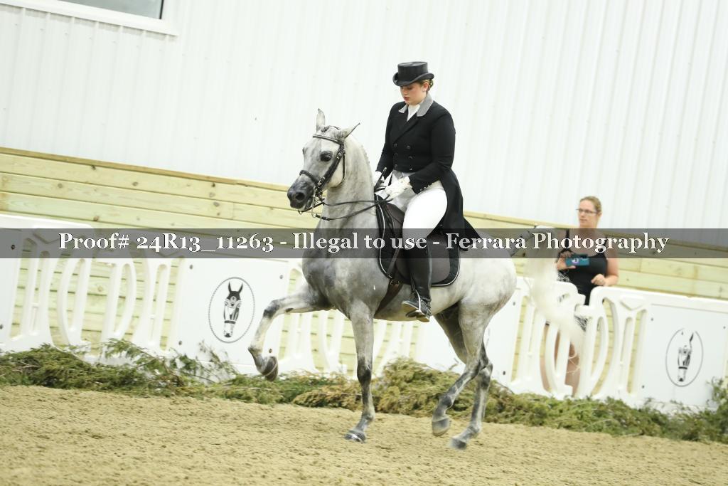 Proof 24R13_11263