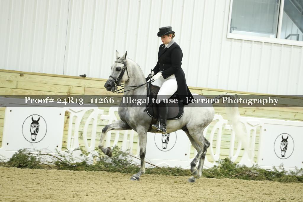 Proof 24R13_11266