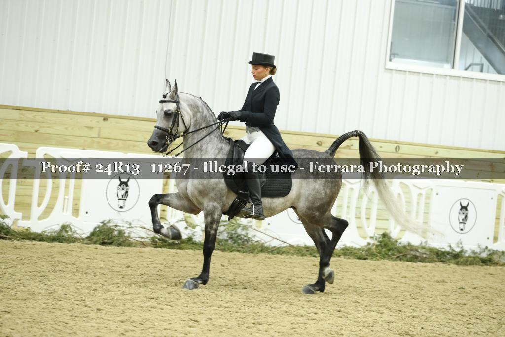 Proof 24R13_11267