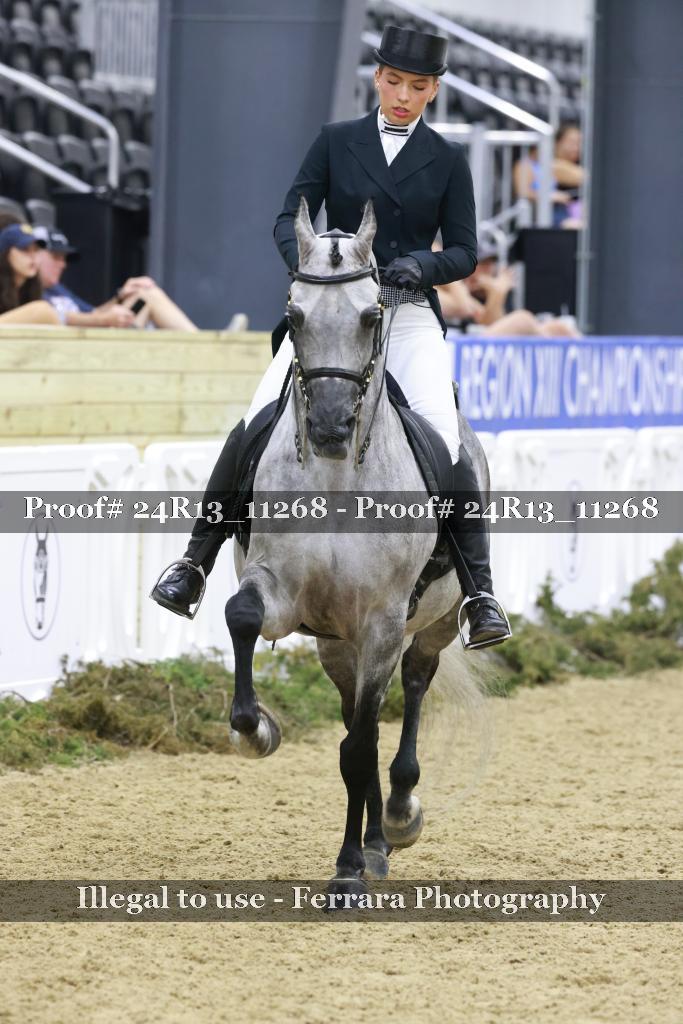 Proof 24R13_11268