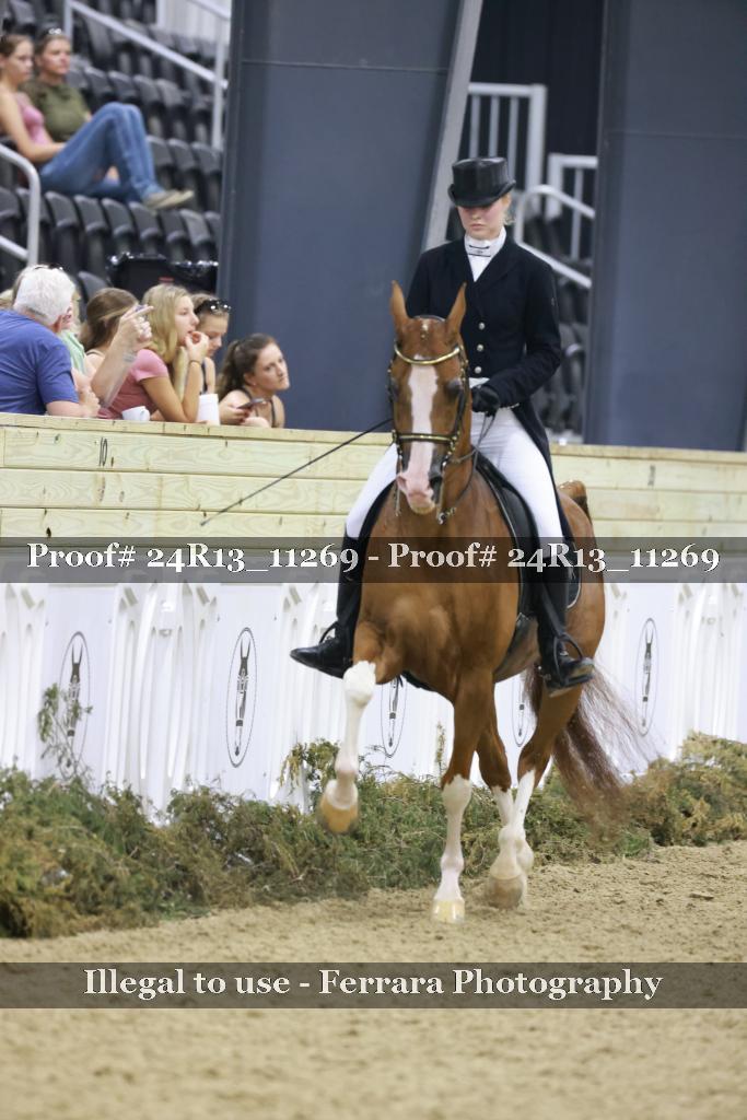 Proof 24R13_11269