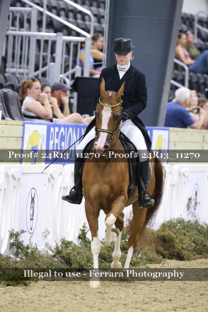 Proof 24R13_11270