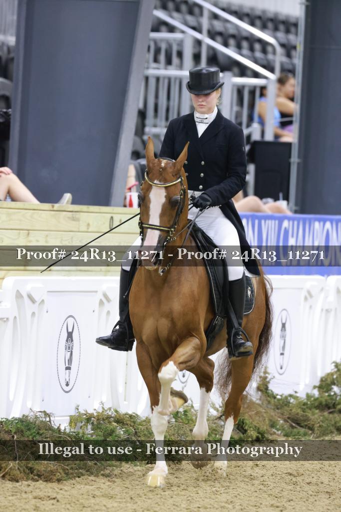 Proof 24R13_11271