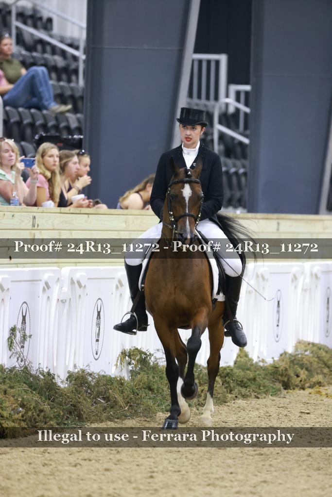 Proof 24R13_11272
