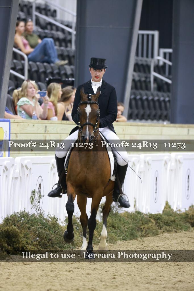 Proof 24R13_11273