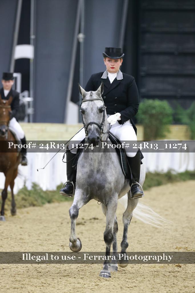 Proof 24R13_11274