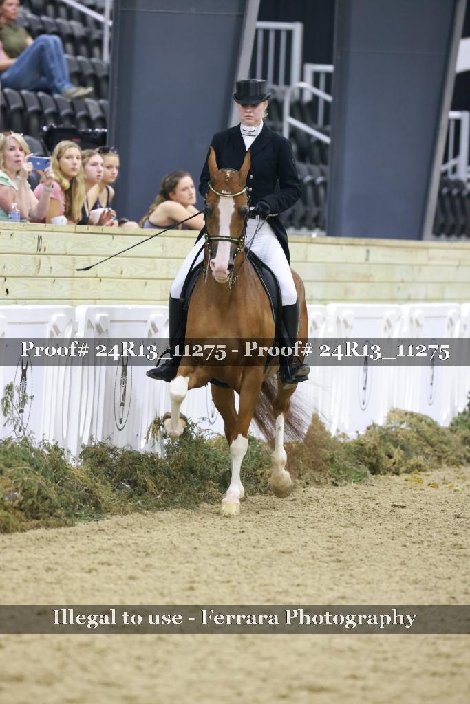 Proof 24R13_11275
