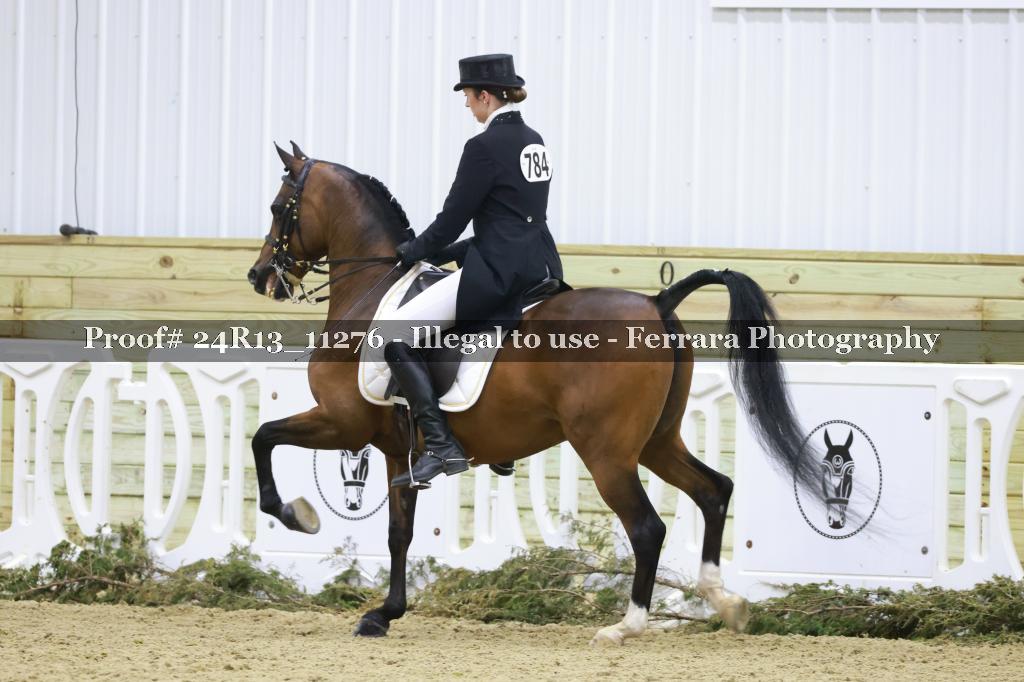 Proof 24R13_11276