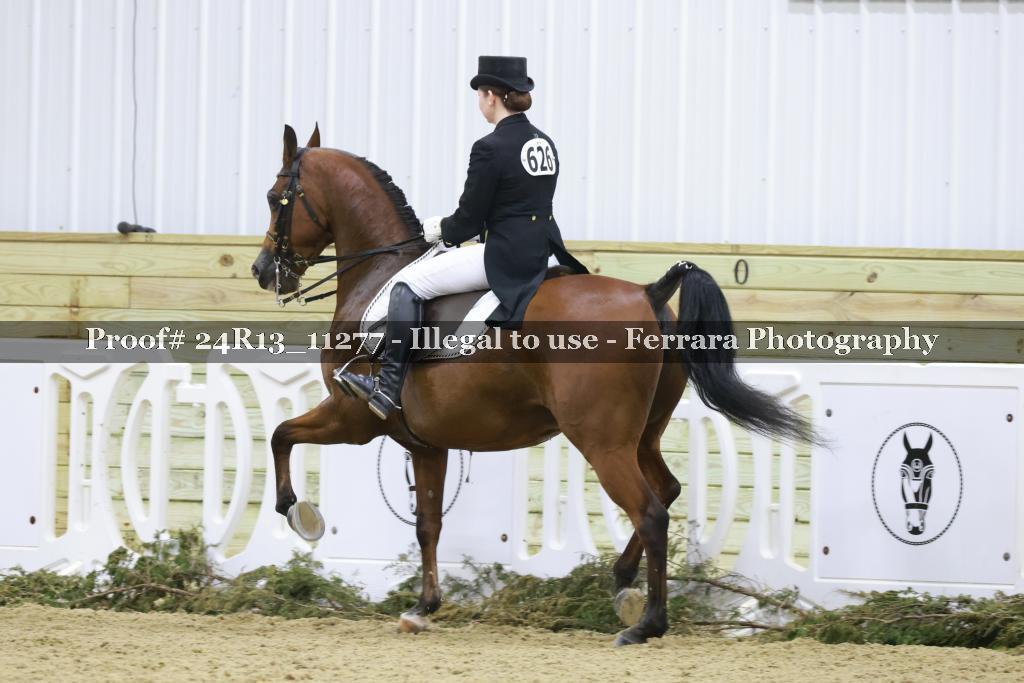 Proof 24R13_11277