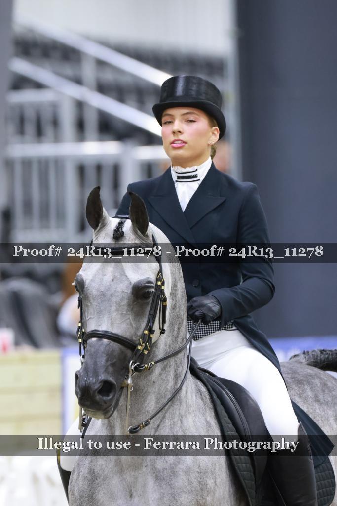Proof 24R13_11278