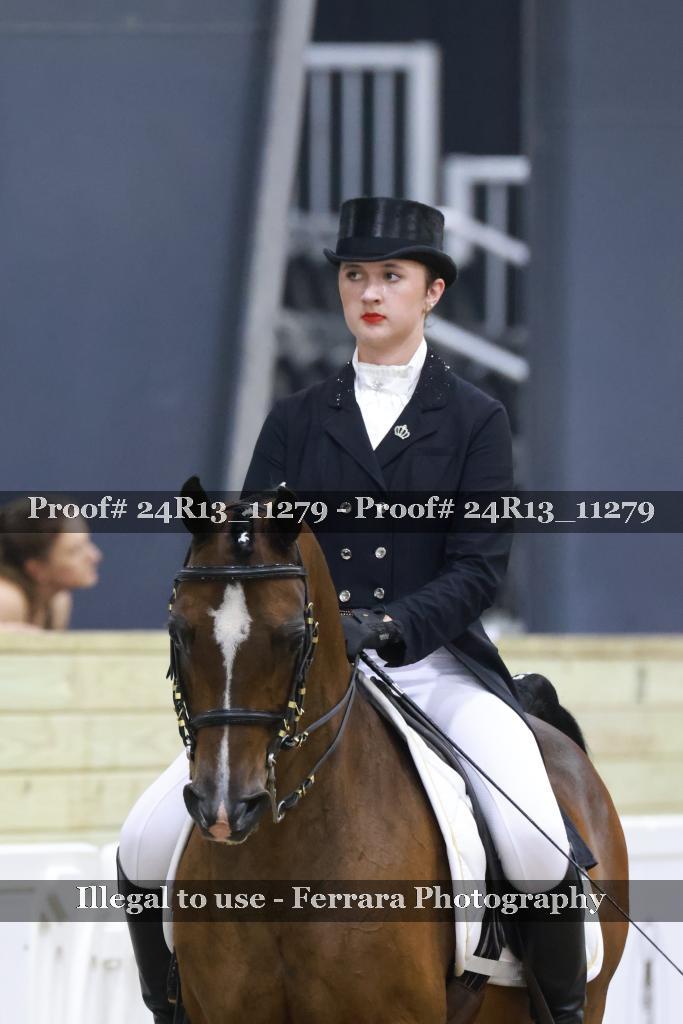 Proof 24R13_11279